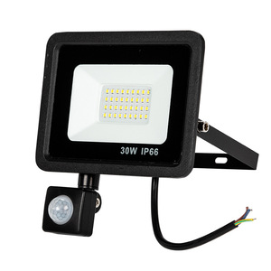 PIR <strong>Motion</strong> <strong>Sensor</strong> <strong>LED</strong> Flood Light 30W Outdoor <strong>Floodlight</strong> 220V 240V 110V Waterproof <strong>Led</strong> Spotlight for Garden Wall Street Light - Product Image 1