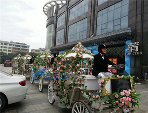 Limousine électrique, calèche de princesse Cendrillon en forme de citrouille dorée, chariot de citrouille de luxe personnalisé pour les mariages, les défilés, les événements féeriques - Product Image 4