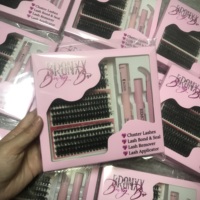 Extensions de cils à éventail facile, marque privée, en soie PBT coréenne, effet faux vison, à floraison rapide