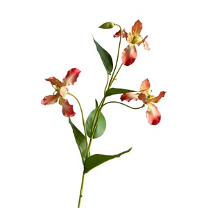 H-750 fleur artificielle EVA Matiral <span class=keywords><strong>Iris</strong></span> orchidée Alice maison modèle chambre mariage centre commercial fenêtre décoration fleur - Product Image 5