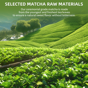 Private Label OEM Organic Ceremonial Grade Green Matcha Tea Powder 30g Health Tea Bag - Product Image 3