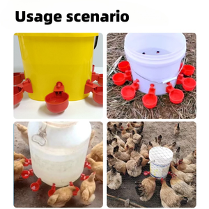 Ciotola automatica per bere pollo pollame azienda agricola attrezzature per il pollo ciotola bevitore di pollo tazza per pulcino - Product Image 5