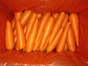 Mới thu hoạch cà rốt tươi rửa sạch cà rốt tươi - Product Image 4