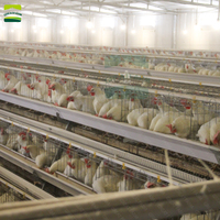 GREAT FARM - A Type 160 Oiseaux 4-Tier 5-Door Cage Poulet Coop pour Poulets de ponte ou Poulets de chair pour la ferme de poulet