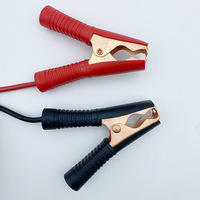 Câble d'alimentation haute fréquence 100A en cuivre pur pour voiture avec pince crocodile, connecteur mâle et connecteur femelle – Approvisionnement direct usine
