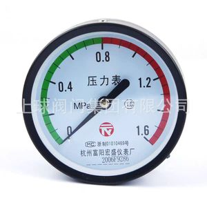 Manomètre Hangzhou Fuyang Hongsheng Y100 1,6 MPa en acier pour réservoir d'air radial et mesure de pression d'eau - Product Image 4