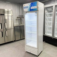Congélateur vertical de 300L avec porte vitrée pour boissons, réfrigérateur à bière, vitrine réfrigérée pour hôtel, maison, magasin