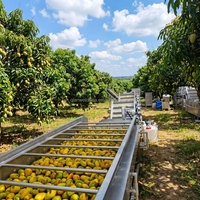 Automatische mangosapcentrifuge, voedselsterilisator, roestvrijstalen verwerkingslijn met hoge capaciteit, turn-key project voor het maken van vers fruit sap
