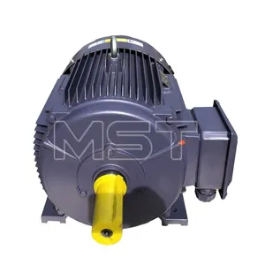 High Quality Industrial Ie3 Asynchronous AC Electric Motor With B3 For Industry 3 Phase Induction Motors