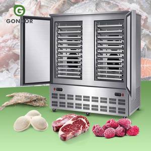 เครื่องแช่แข็งแบบเร่งด่วน Blast Shock Iqf Congelador Vertical Congeladores Verticales Fish Freezer Chiller ลดราคา - Product Image 1