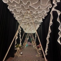 Décoration de mariage, rideaux en forme de vague pour plafond, bande lumineuse LED RGB imperméable pour événements