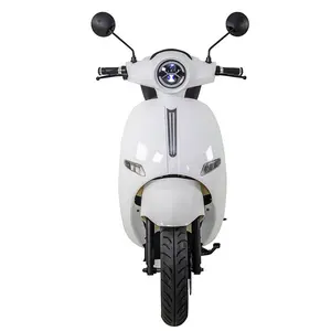 City Bike 1000W 1500W 2000W Motor E Scooters Ciclo Potente motocicleta eléctrica Bicicleta eléctrica Scooter para adultos