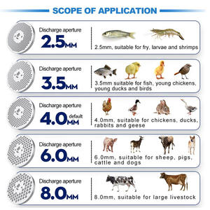 Nueva Máquina de Alimentos para Mascotas, Perros y Gatos, Molino de Pellets para Alimento Animal, Capacidad de 400 kg/h, 380V/220V, para Uso en Granjas y Hogares - Product Image 5