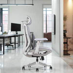 2025 New Arrival Adjustable Armrest Full Mesh Ergonomic <b>Office</b> <b>Chair</b> With Big Lumber <b>Support</b> Z-E2518HG Ergonomic <b>Office</b> <b>Chair</b> Z- - Product Image 3