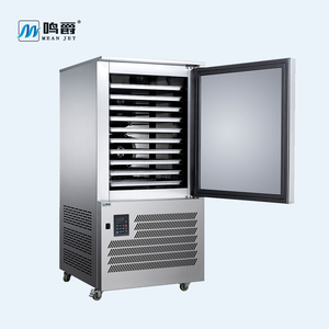 Refrigerador Eléctrico de 30 Niveles para Carne, Congelador de Una Puerta, Enfriador - Product Image 3