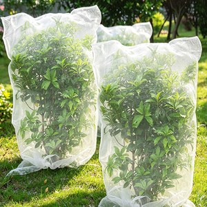 Filet de protection pour citronniers et orangeiers, couvre-plantes pour myrtilles avec cordon de serrage, filet anti-insectes et anti-oiseaux - Product Image 1