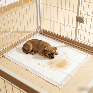 Wholesale Disposable Pet Training <b>Pads</b> With Adhesive Sticker, Waterproof Leak-Proof Dog <b>Pee</b> <b>Pads</b> for Pet Toilet Hygiene - Product Image 1