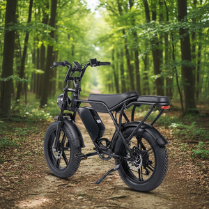 Vélo de montagne électrique en stock local aux États-Unis, 72V 60V 30Ah 1000W, 7 vitesses, pneus larges 20*4 pouces, 30 mph, transmission T8 7 vitesses - Product Image 1