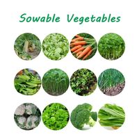 Semoir manuel multi-spécifications pour légumes avec unité de paillage et d'apport d'engrais pour serres et champs ouverts