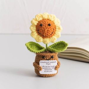 Maceta de Flores Tejida a Crochet con Frases Inspiradoras, Decoración Hecha a Mano, Varios Estilos, Regalo Ideal para Cumpleaños, para Amigos - Product Image 4