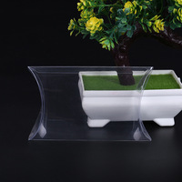 Boîtes personnalisées en PVC Nouvelle boîte en acétate recyclé Boîte à bonbons transparente en PET avec oreiller en plastique avec trou