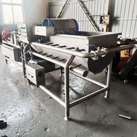 YOUBAN Custom Multifunctionele Vortex Reinigingsmachine Vibratiebelletjes Wasapparatuur voor de verwerking van fruit, groenten en vis
