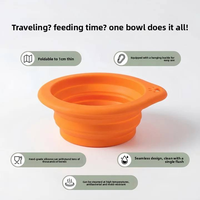 Fournitures pour animaux de compagnie, bol pliable et portable pour nourrir et abreuvoir les chiens et les chats en extérieur