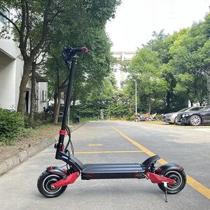 Sandris T10-DDM Terbaik Tanpa 10X Dual Motor Skuter Mobilitas Lipat Elektrik Jarak Jauh Skuter Lipat Cepat Dewasa 2000W 2400W E