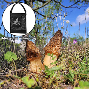 Sac de cueillette de fruits et de champignons, pochette en filet, sac de récolte, sac de forage en plein air pour la cueillette de champignons - Product Image 3