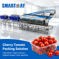 Ligne d'emballage automatique de tomates cerises en coquille pour l'industrie agroalimentaire