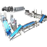 Industriële productielijn voor het maken van gevriesdroogde fruitchips, inclusief fruitwasser, -schiller, -ontpitter, -snijmachine en fruitverwerkingsproductie.