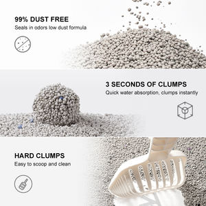 Arena Para Gatos OEM ODM Fabricante Compra Arena Para Gatos Aroma De Café <span class=keywords><strong>Sin</strong></span> Polvo Fuerte Aglomeracion Bentonita Arena Para Gatos - Product Image 3