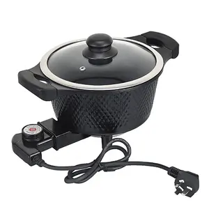 HYTRIC Electric Pot with Steamer New Upgrade, 1.5L Portable Nonstick Frying  Pan, Electric Cooker for Steak, Egg, Pasta, Ramen Cooker with Dual Power