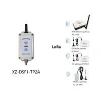 Capteur de température sans fil LoRa longue portée 5KM XZ-DSF1-TP2A étanche IP67 pour la surveillance environnementale et industrielle