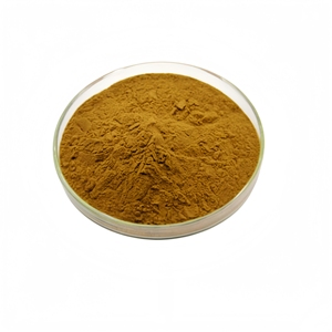 <span class=keywords><strong>Extrait</strong></span> de racine <span class=keywords><strong>d</strong></span>'<span class=keywords><strong>ortie</strong></span> de qualité supérieure directement de l'usine, poudre <span class=keywords><strong>d</strong></span>'<span class=keywords><strong>extrait</strong></span> <span class=keywords><strong>d</strong></span>'<span class=keywords><strong>ortie</strong></span> - Product Image 2