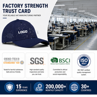 Casquette de baseball imperméable, perforée, respirante, protection solaire, légère, sportive, réglable, logo personnalisé, OEM, vente en gros, faible MOQ
