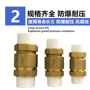Vanne de retenue en laiton PPR DN25 à passage direct pour raccordement par fusion thermique de conduites d'eau - Product Image 5