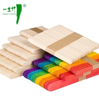 Bâtonnets de glace miniatures biodégradables en bois pour commande urgente, personnalisables avec logo, agitateurs à café en bambou, outils de crème glacée en gros