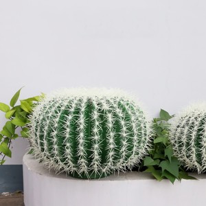 Ornements de <span class=keywords><strong>cactus</strong></span> succulents Grandes plantes de <span class=keywords><strong>cactus</strong></span> artificielles <span class=keywords><strong>pour</strong></span> décoration intérieure et extérieure - Product Image 6