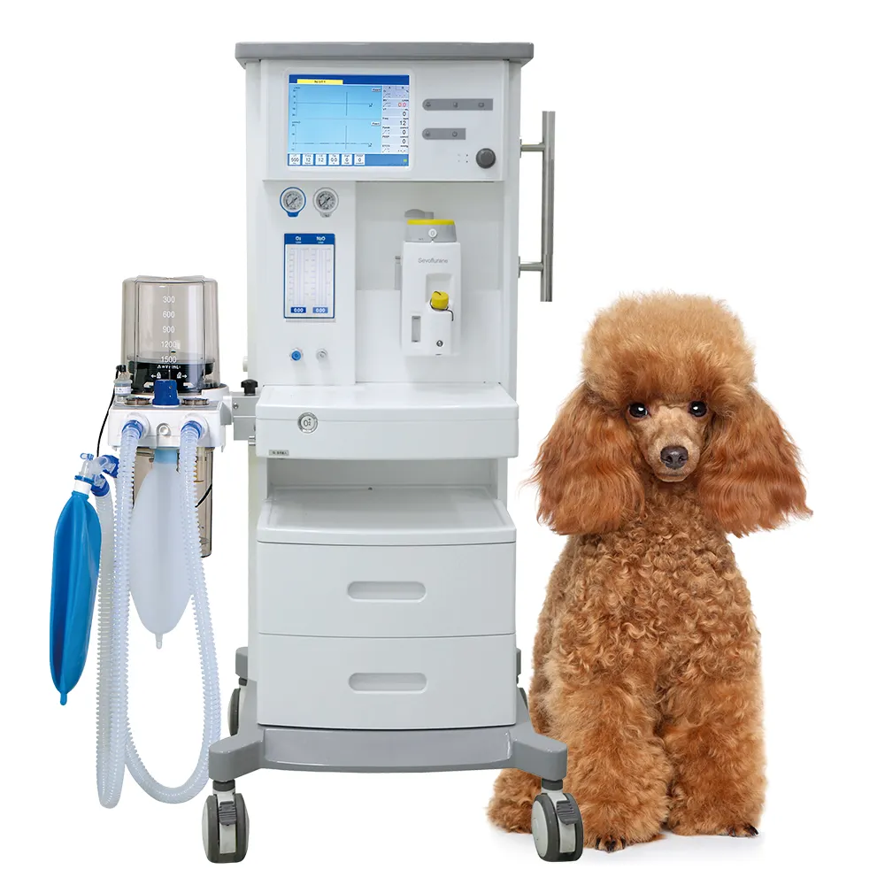 Ziekenhuis China Anesthesie Apparatuur Medische Anesthesie En Emergency Apparaat Veterinaire Anesthesie Machine Prijs