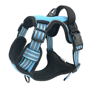 Yeni İnovasyon Köpek Tasması Seti Yumuşak Dolgulu Polyester Çevre Dostu Ayarlanabilir Dayanıklı Lüks Moda Tasarım Özel Evcil Hayvan Malzemeleri - Product Image 6
