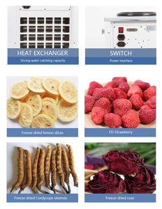 従来およびマニホールド実験室用真空フリーズドライヤーLyophilizer機器 - Product Image 5