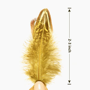 Plumes de <span class=keywords><strong>cou</strong></span> d'amande en gros, plumes de queue de poulet sauvage nettoyées en vrac, artisanat, plumes de carnaval - Product Image 4