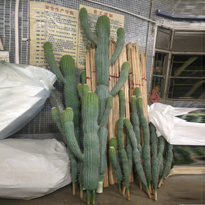 Grandes <span class=keywords><strong>plantes</strong></span> artificielles de cactus, faux bonsaïs succulents décoratifs, colonnes ornementales presque naturelles 2026 - Product Image 3