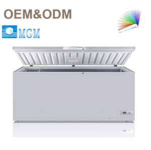 Congélateur horizontal à coffre profond de 700 l (159 l) facile à nettoyer pour le stockage des aliments congelés dans les supermarchés - Product Image 1