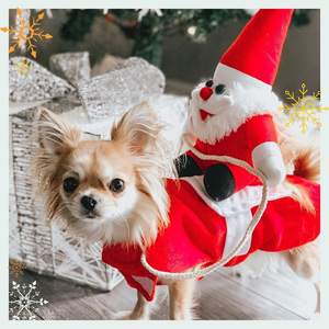 Costume de <span class=keywords><strong>chien</strong></span> de Noël du père Noël Vêtements d'équitation Vêtements drôles pour animaux de compagnie pour grands et petits chiens - Product Image 2