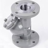 Filtro de brida de soplado de vapor de gas de alta temperatura tipo Y de acero fundido GL41H-16/25C de alta resistencia, compatible con las normas nacionales HQ 1