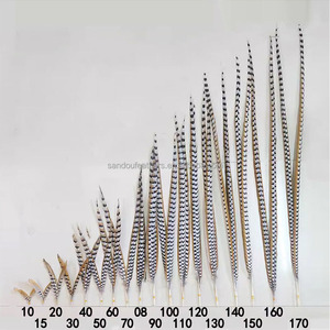 Plumas <span class=keywords><strong>de</strong></span> Cola <span class=keywords><strong>de</strong></span> Faisán Reeves Naturales <span class=keywords><strong>de</strong></span> 140-150 cm <span class=keywords><strong>de</strong></span> Largo, en Oferta, para Disfraces <span class=keywords><strong>de</strong></span> Carnaval y Sombreros <span class=keywords><strong>de</strong></span> Samba - Product Image 6