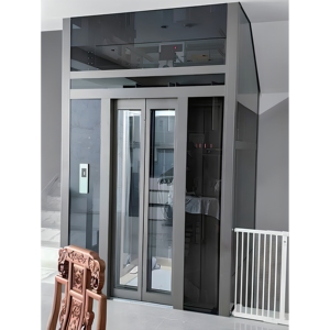 <span class=keywords><strong>Ascenseur</strong></span> à traction haut de gamme pour villas et maisons privées avec une performance de fonctionnement fluide - Product Image 2