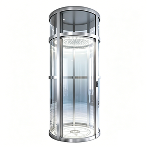 Ascensore Residenziale di Lusso a 2-4 Piani, Capacità 300KG, con Cabina Panoramica, Vendita Promozionale - Product Image 1